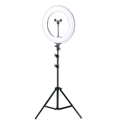 JMARY RINGLIGHT 14 INCH