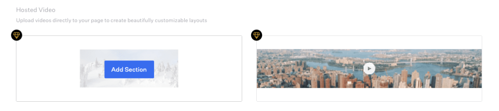 Format video hosting options