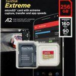 sandisk extreme 256gb micro sd