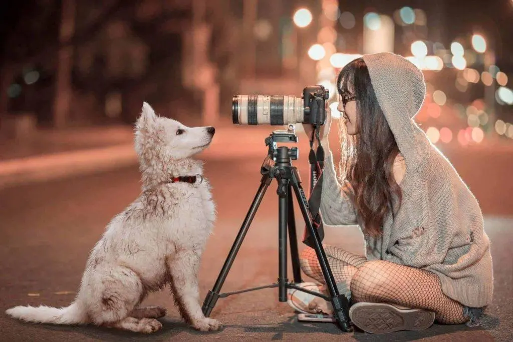 6 Advantages of Using a Tripod in Your Photography