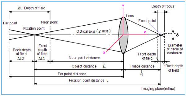 What is Depth of Focus vs. Depth of Field ? Camera Essentials