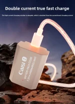 Caisi NP-FZ100 Type-C Battery - Image 4