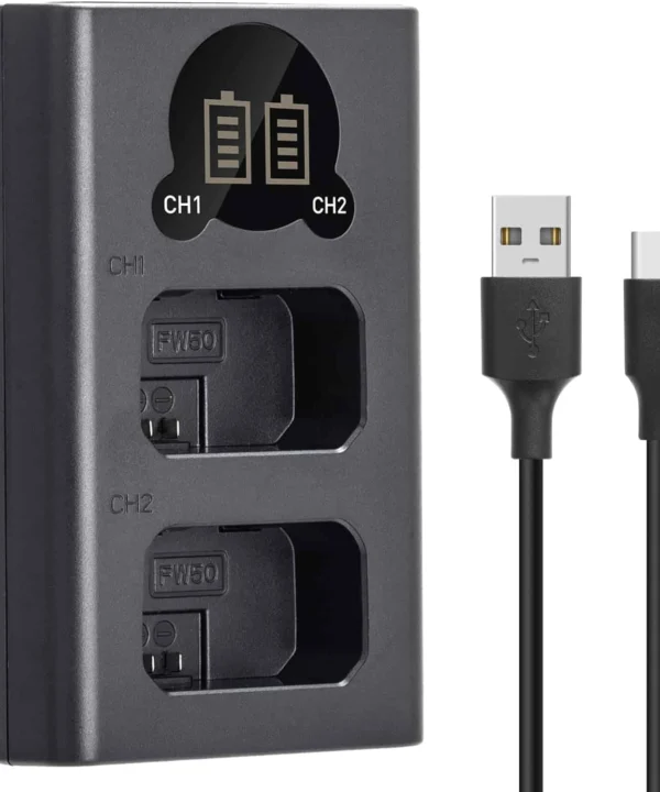 Caisi FW50 Led Display Type-c Charger