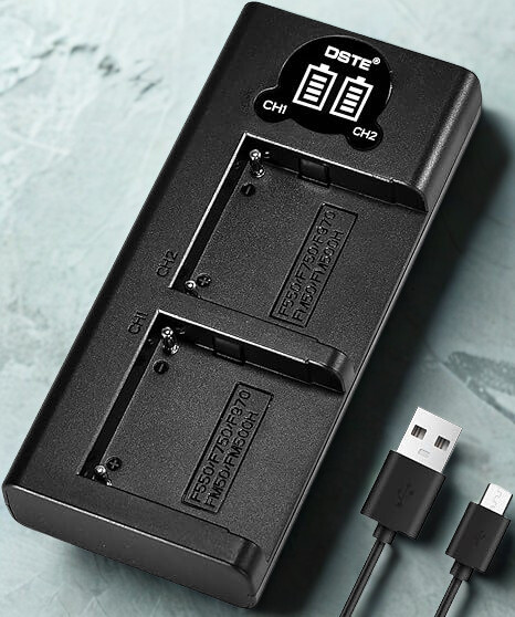 Caisi F970 Type C LED Display Battery Charger