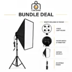 Professional 4-Bulb Continuous Softbox Lighting Kit with Stands