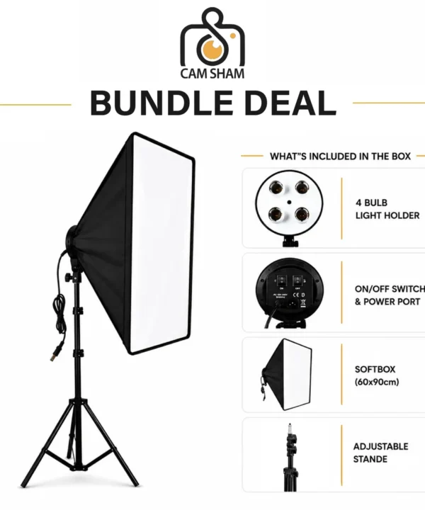 Professional 4-Bulb Continuous Softbox Lighting Kit with Stands