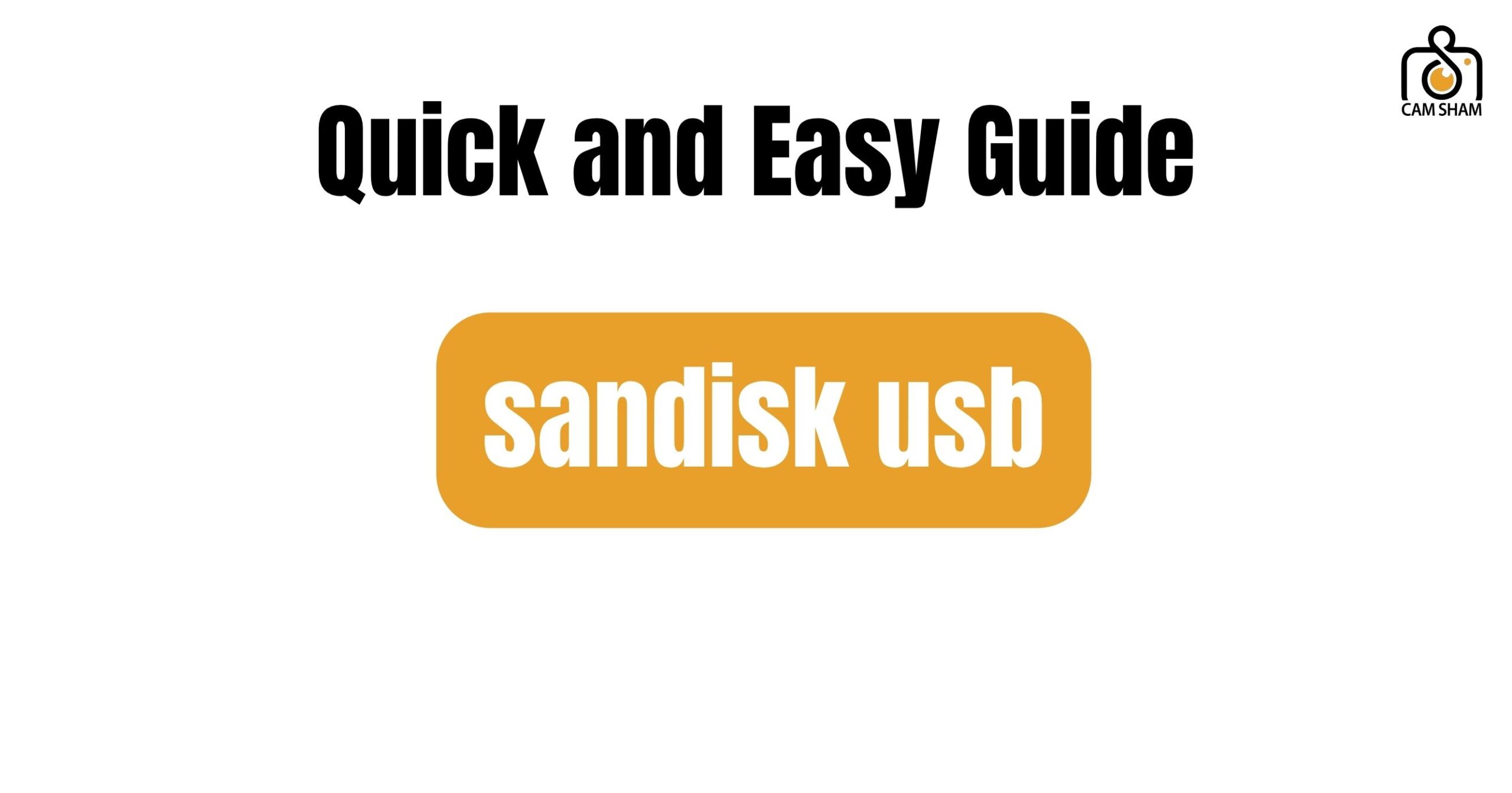 sandisk usb