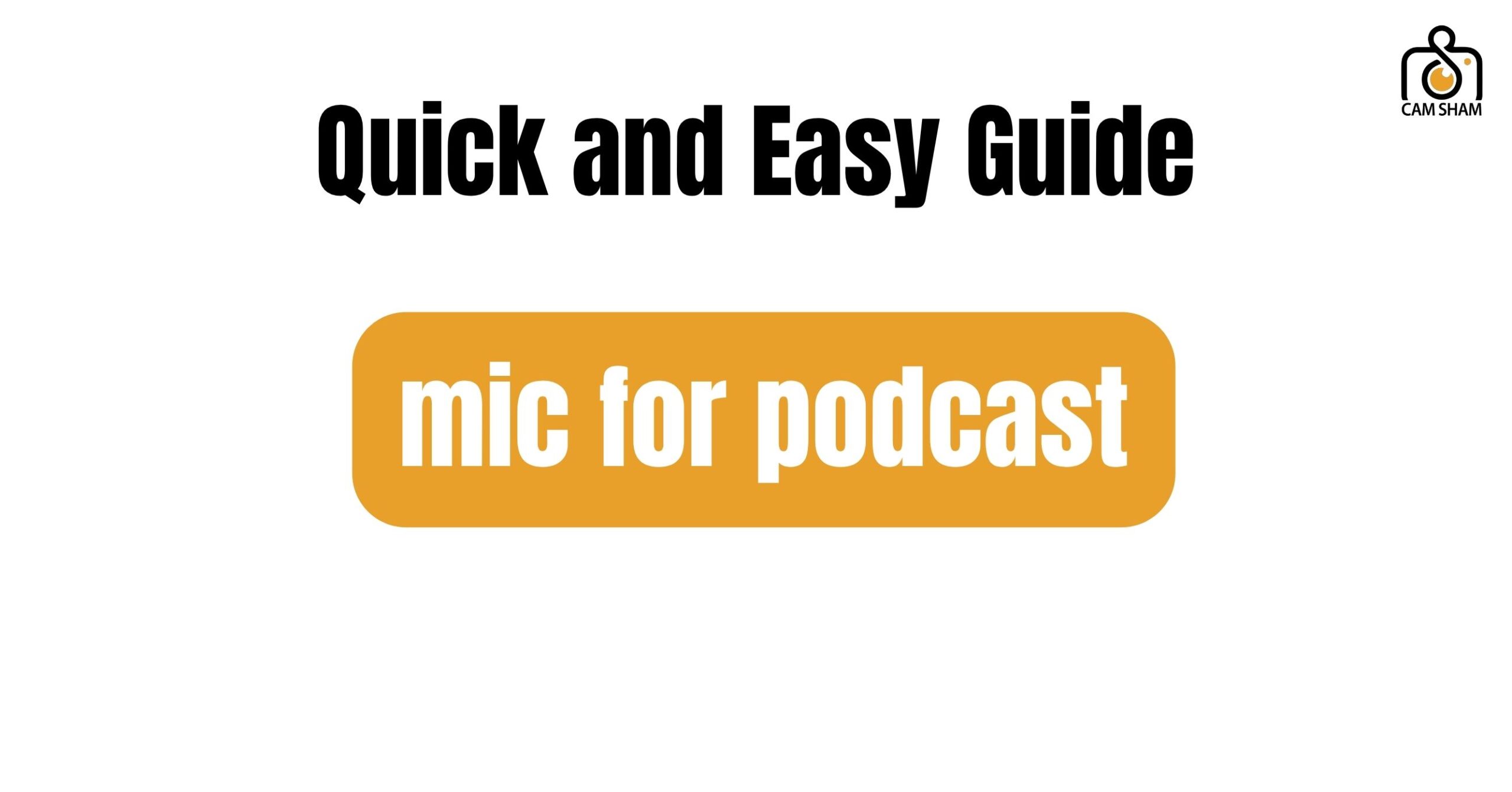 mic for podcast
